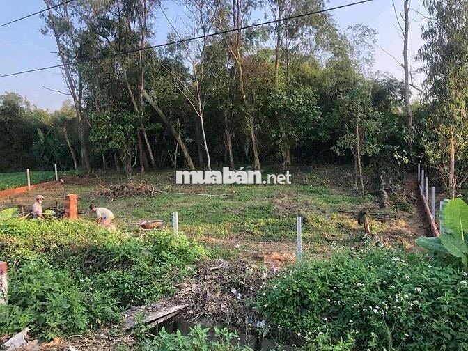ĐẤT MẶT TIỀN RỘNG- ĐƯỜNG XE HƠI- VIEW LÚA