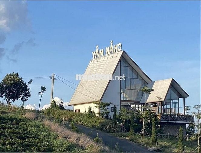 Mảnh đất hiếm tại Bảo Lộc – nơi mây, suối và pháp lý gặp nhau