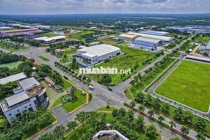 Chia gia tài cần bán gấp vườn 2400m² phường Bình Lộc, sổ riêng