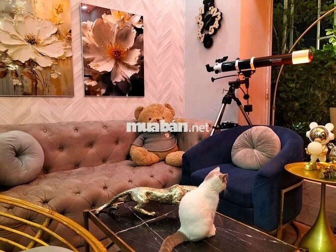 ​GIÁ 3 TỶ! CHUNG CƯ HH1 LINH ĐÀM - HOÀNG MAI: PENTHOUSE VIEW ĐỘC!