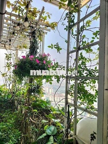 ​GIÁ 3 TỶ! CHUNG CƯ HH1 LINH ĐÀM - HOÀNG MAI: PENTHOUSE VIEW ĐỘC!