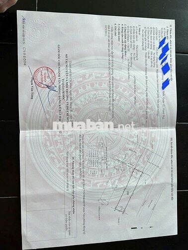 👉Bán nhà 1trệt 4lầu 10pn 10Wc Sổ Hồng hoàn công