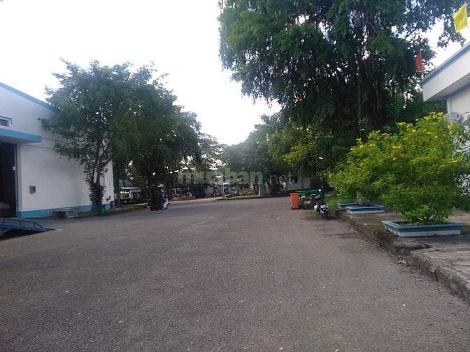 CHO THUÊ KHO XƯỞNG KCN HOÀ PHÚ
