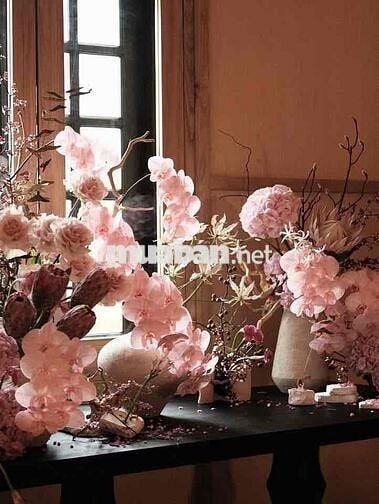 Cho THUÊ NHÀ đường lê Văn Phan -  phường Phú Thọ Hoà: 4 x 18 M :