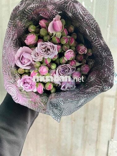 Cho thuê nhà mặt tiền đường Phan Thị Hành - Phường Phú Thọ Hoà :