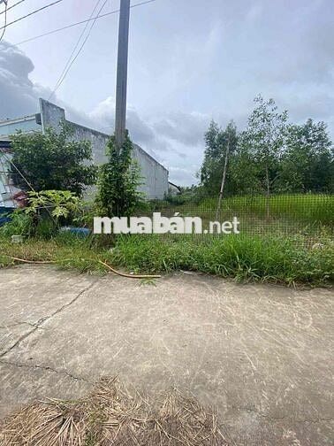 CCG 125m2 Thổ cư 100% , shr - ngay TT Đức hoà giá 760tr