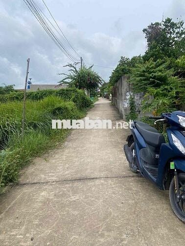 CCG 125m2 Thổ cư 100% , shr - ngay TT Đức hoà giá 760tr