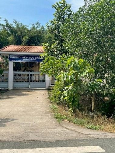 Bán Đất 1696M2 Có 139M2 Thổ,19Mx89M,Mặt Tiền ĐT829 Tân Thạnh Long An 
