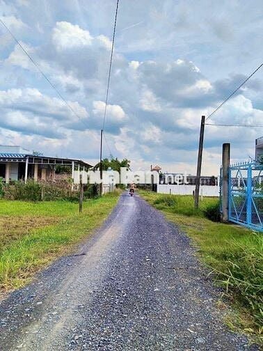 chính chủ bán 140m2 thổ cư 100% , shr - giá 890tr giáo Bình chánh