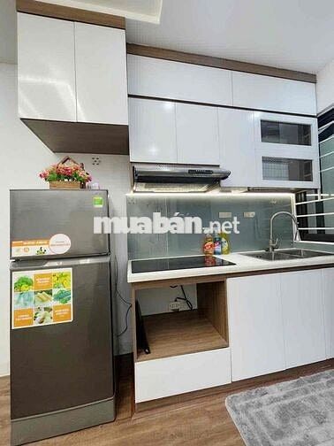 Bán CCMN Mới Đẹp Xịn - Tầng Trung Căn Góc- Xã Đàn, Đống Đa