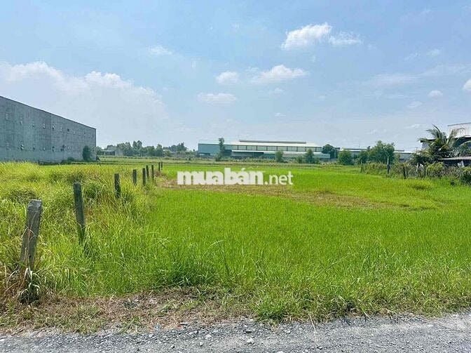 chính chủ bán 140m2 thổ cư 100% , shr - giá 890tr giáo Bình chánh