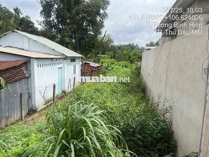 513,5m² đất mặt tiền tại Lê Chí Dân, Thủ Dầu Một, Bình Dương