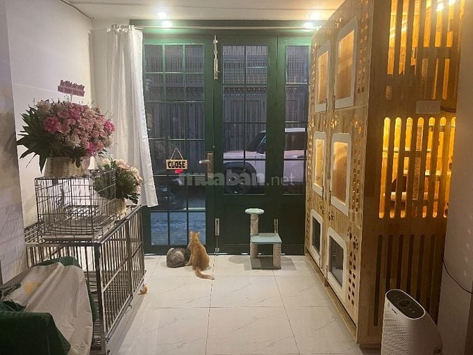 Chăm sóc thú cưng, lưu trú thú cưng khu vực Tân Bình