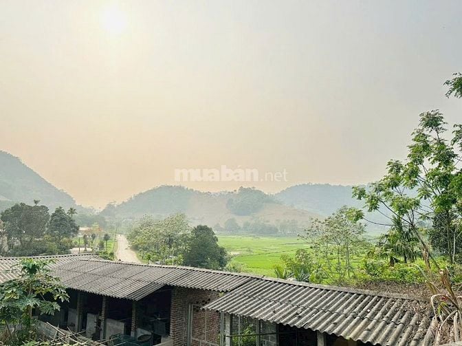CHỈ 1,x TỶ SỞ HỮU NGAY LÔ ĐẤT VIEW SIÊU PHẨM CÓ DT 489m2 Ở CAO DƯƠNG