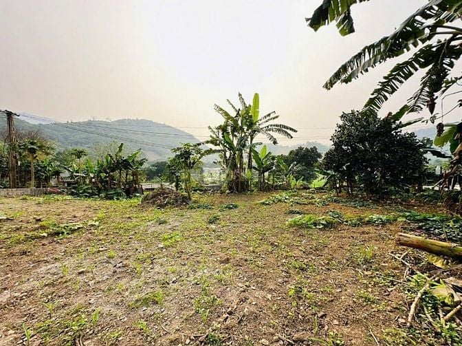 CHỈ 1,x TỶ SỞ HỮU NGAY LÔ ĐẤT VIEW SIÊU PHẨM CÓ DT 489m2 Ở CAO DƯƠNG