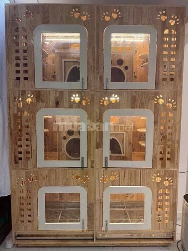 Chăm sóc thú cưng, lưu trú thú cưng khu vực Tân Bình
