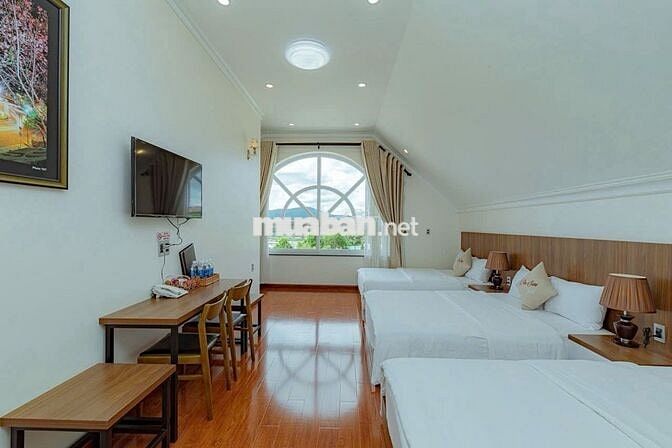 Bán Biệt Thự Mặt Tiền 412m² Đường An Sơn P.04 Đà Lạt - Giá 33 Tỷ