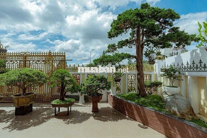 Bán Biệt Thự Mặt Tiền 412m² Đường An Sơn P.04 Đà Lạt - Giá 33 Tỷ