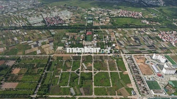 Bán Đất dự Án Cienco 5 Mê Linh, hàng hiếm, đẹp.