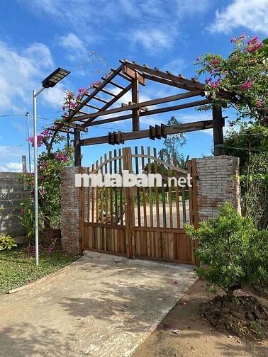Kẹt tiền chủ hạ giá lô đất vườn Tà Nung - Đà lạt chỉ 560tr