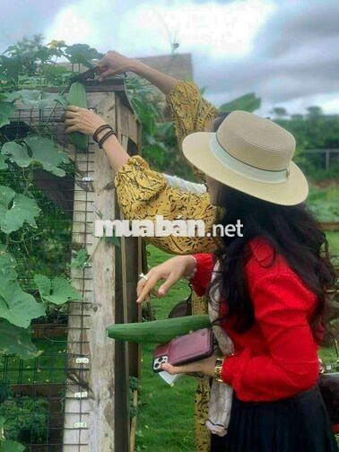 Kẹt tiền chủ hạ giá lô đất vườn Tà Nung - Đà lạt chỉ 560tr
