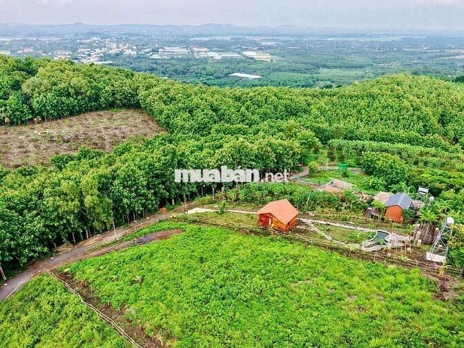Kẹt tiền chủ hạ giá lô đất vườn Tà Nung - Đà lạt chỉ 560tr