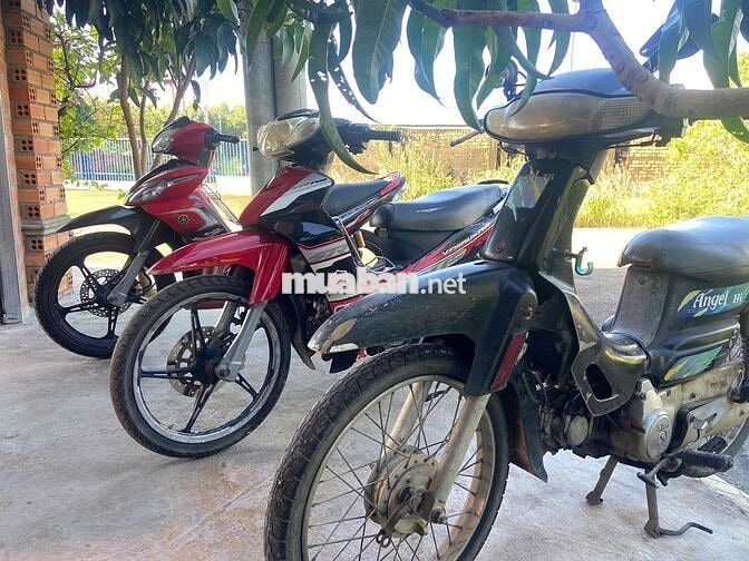 Xe đi cày 2 củ là có xe hãng chạy rồi giấy tờ hle