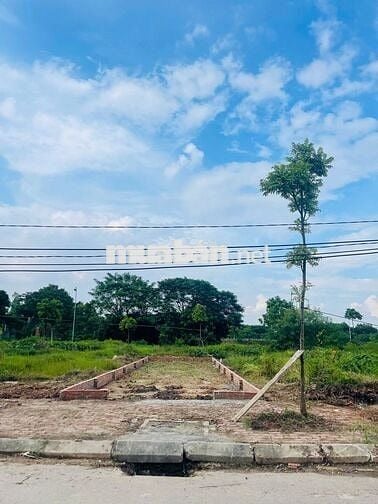 Bán Đất dự Án Cienco 5 Mê Linh, hàng hiếm, đẹp.