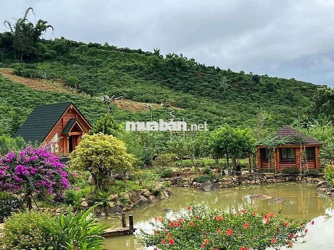 Kẹt tiền chủ hạ giá lô đất vườn Tà Nung - Đà lạt chỉ 560tr