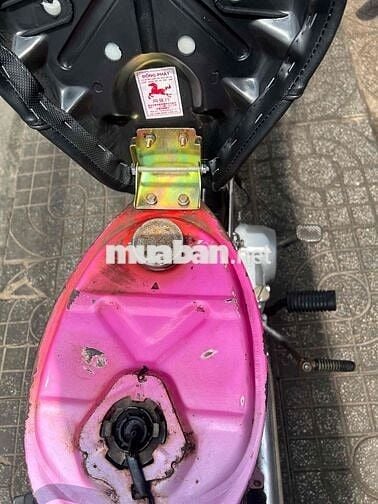 bán cup 50cc bs 65