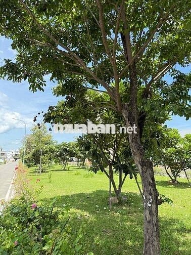 Bán lô đất đối diện công viên Mỹ Gia - Gói 7 giá 57.6tr/m2 bao hết.