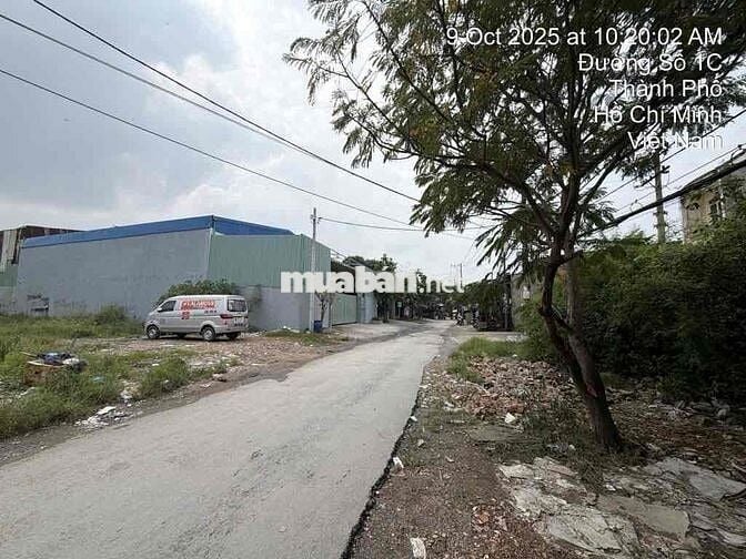 250M2(10x25) ĐẤT MT ĐƯỜNG 1C - VĨNH LỘC B - THỔ CƯ 200M2 - GIÁP B.TÂN