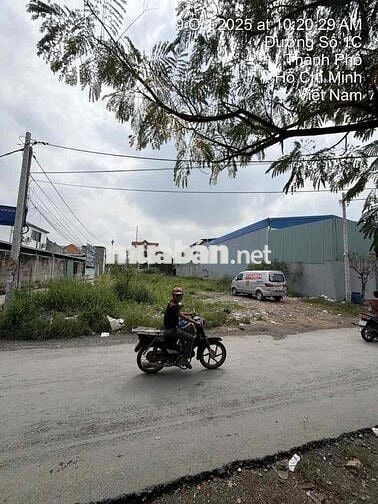 250M2(10x25) ĐẤT MT ĐƯỜNG 1C - VĨNH LỘC B - THỔ CƯ 200M2 - GIÁP B.TÂN