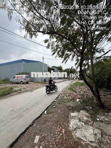 250M2(10x25) ĐẤT MT ĐƯỜNG 1C - VĨNH LỘC B - THỔ CƯ 200M2 - GIÁP B.TÂN