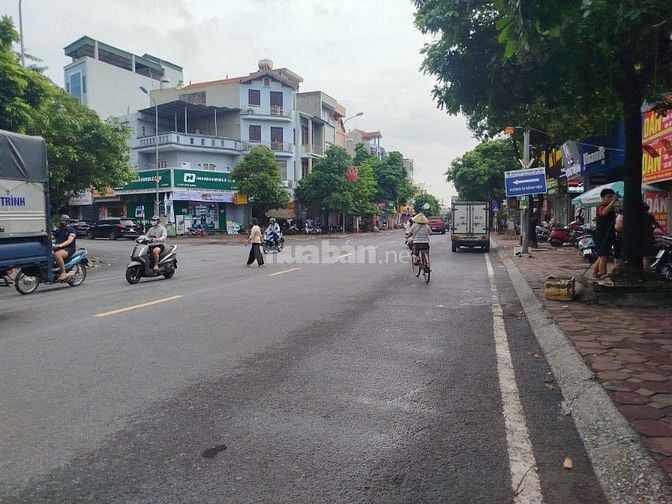 ĐẤT ĐẸP NGÔ XUÂN QUẢNG - TRÂU QUỲ