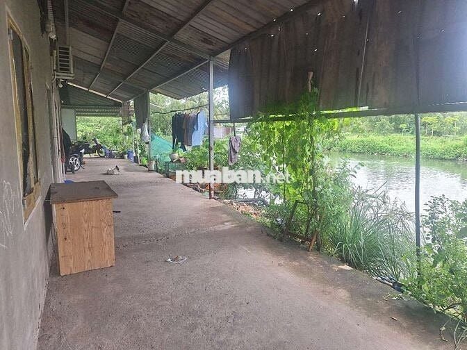 Riêng biệt như nhà nguyên căn dtsd:24m² trệt lối đi riêng wiew hồ TM