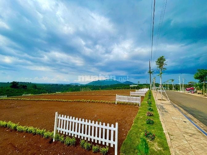 Đất Di Linh gần Đà Lạt sổ hồng riêng có ngay, giá ưu đãi chỉ 658tr