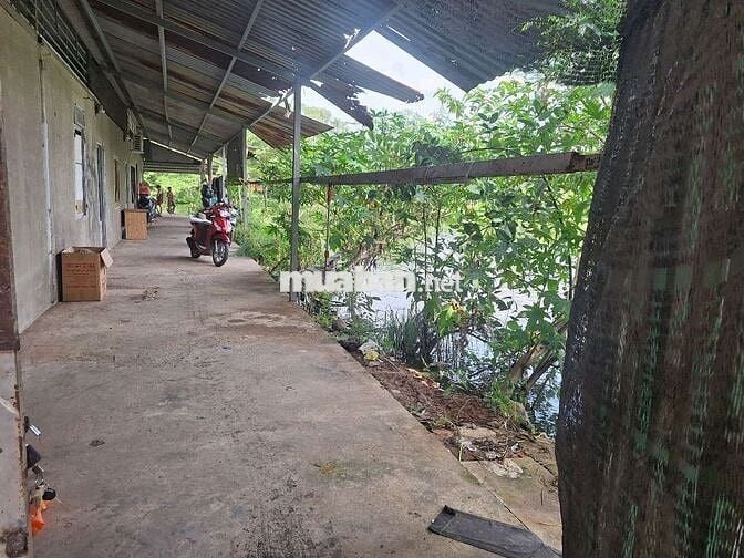 Riêng biệt như nhà nguyên căn dtsd:24m² trệt lối đi riêng wiew hồ TM
