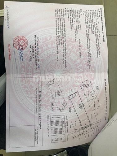 Bán CHDV Trần Bình Trọng, Gò Vấp. Giá 9.8 tỷ