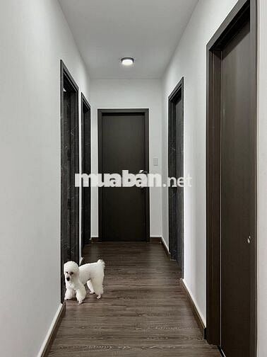 CCDV 45M2 BÌNH TÂN – VỐN 1.14 TỶ, SỞ HỮU VỊ TRÍ VÀNG KẾT NỐI Q.6/Q.11!