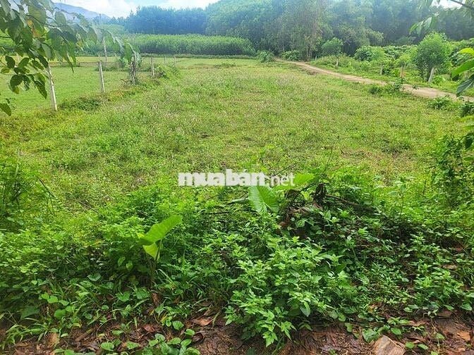 Bán 1 lô đất 2 mặt tiền như hình