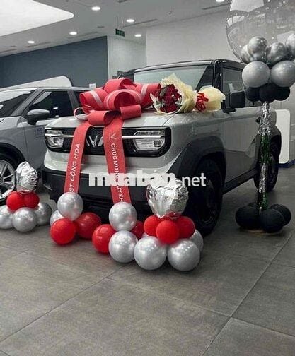 VinFast VF3 2025 - xe mới- mua pin
