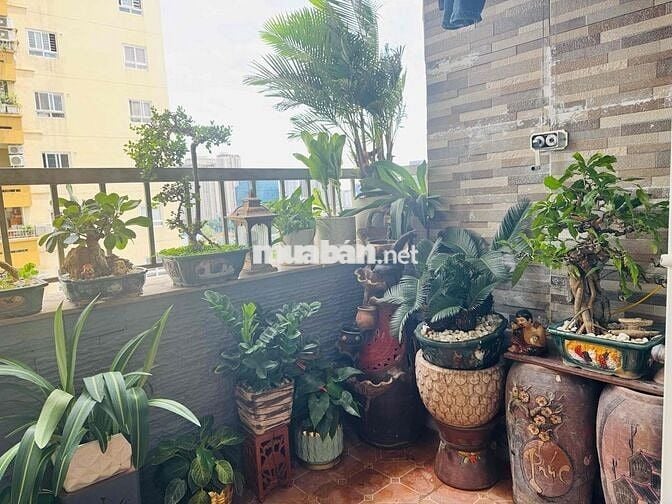 Cần tiền bán gấp Chung Cư Vimeco CT2 Vimeco Nguyễn Chánh. ***