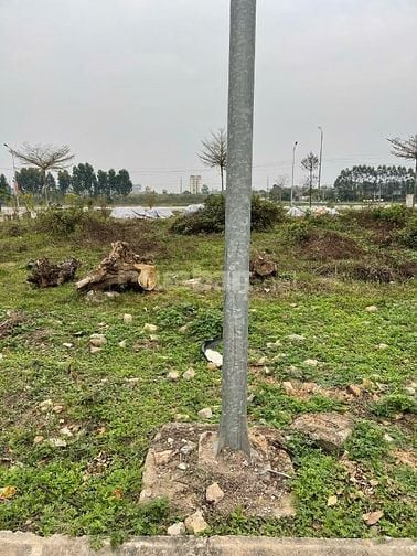 cắt lỗ mảnh phân lô đối diện ủy ban xã đồng sơn