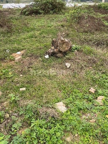cắt lỗ mảnh phân lô đối diện ủy ban xã đồng sơn