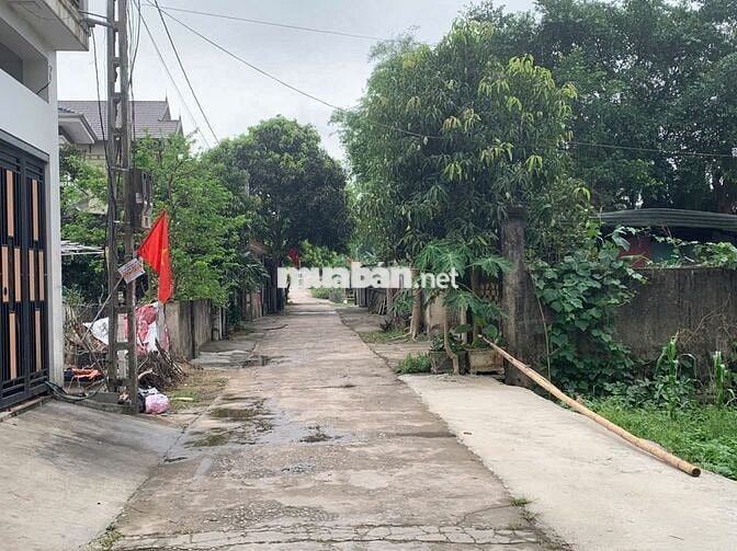 Bán đất Hưng Lợi giá bình dân chính chủ