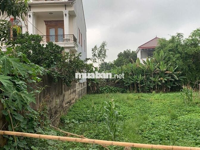 Bán đất Hưng Lợi giá bình dân chính chủ