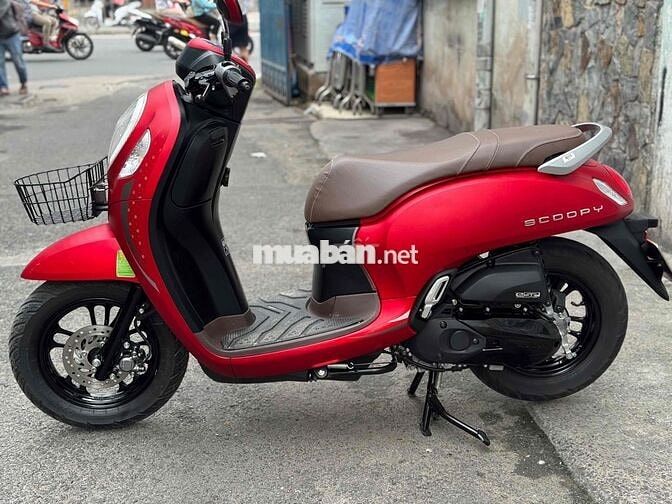 Scoopy 2024 bstp chính chủ