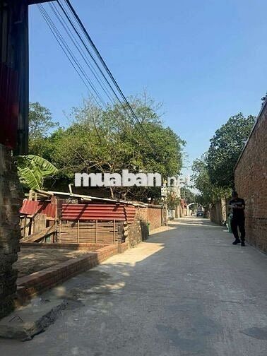 Đất Quang Tiến Đông Lai Ngay gần khu đấu giá đón sóng đường 1500 tỷ