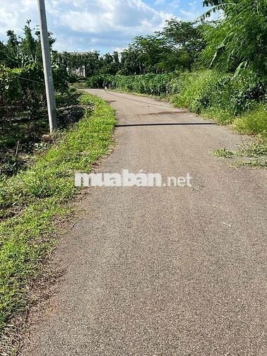 bán đất Đá Bạc  Đường nhựa sát tỉnh lộ vòng xoay ngã 6
